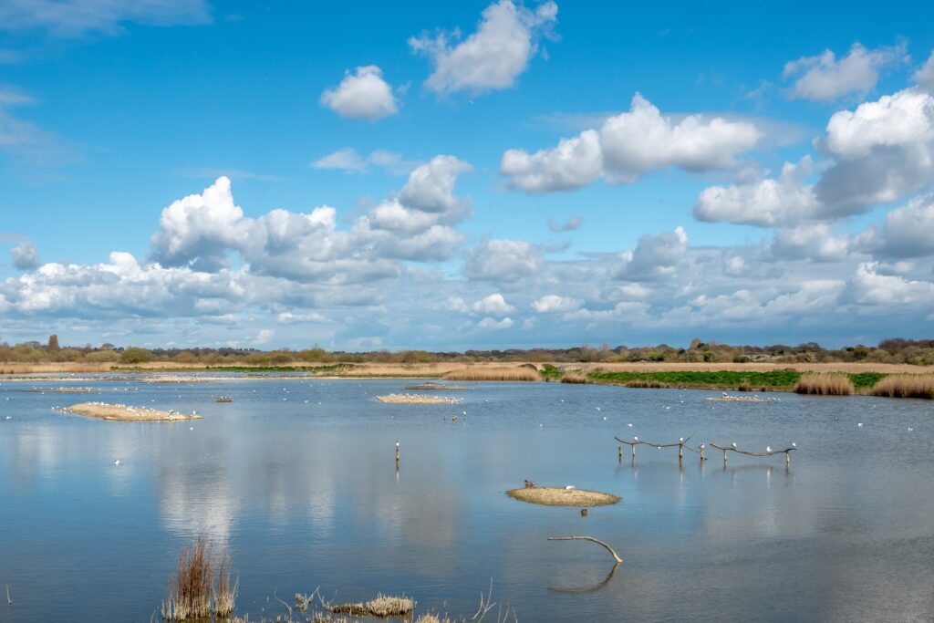 Twyford & Titchfield Branch