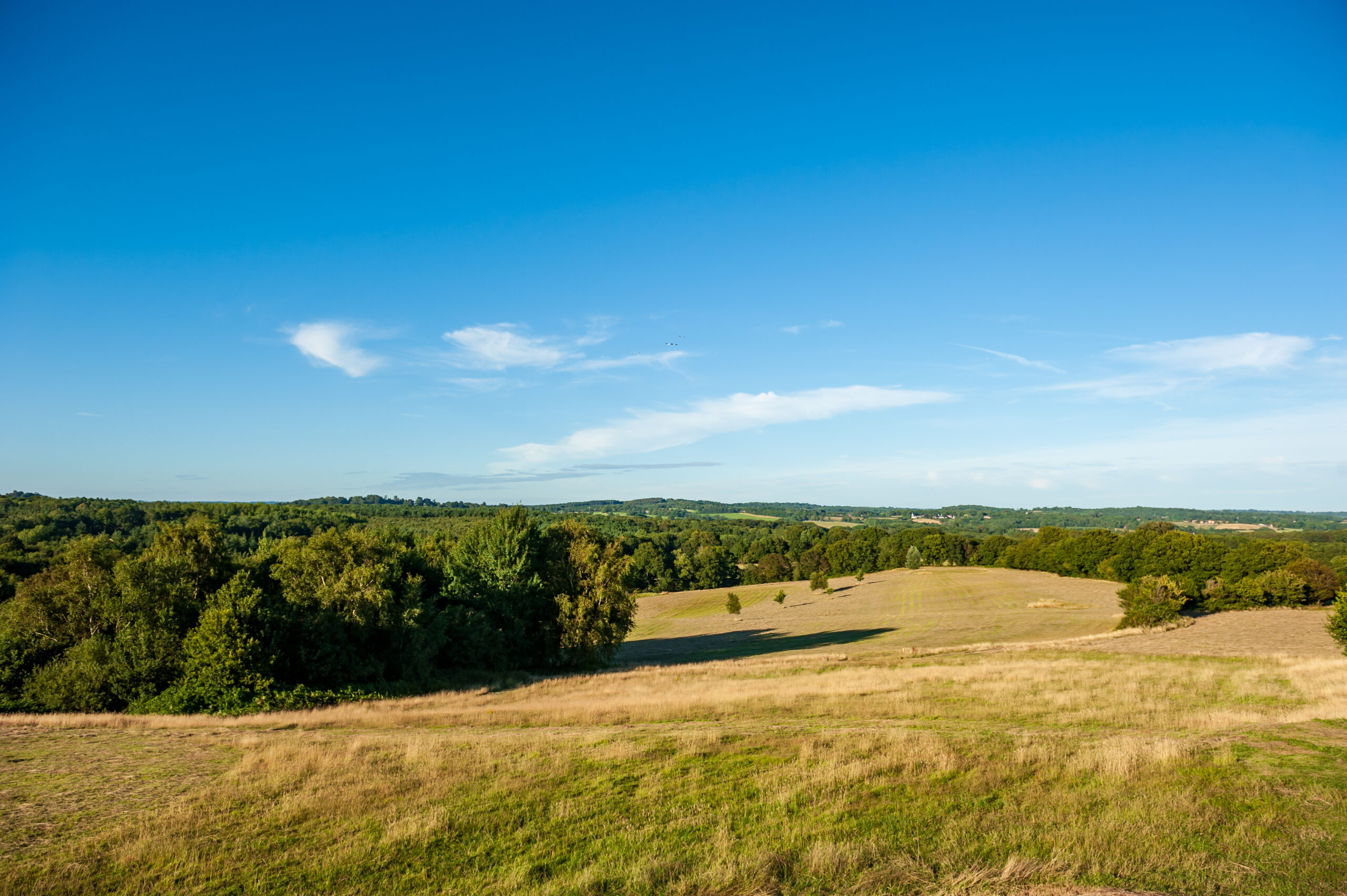 East Sussex