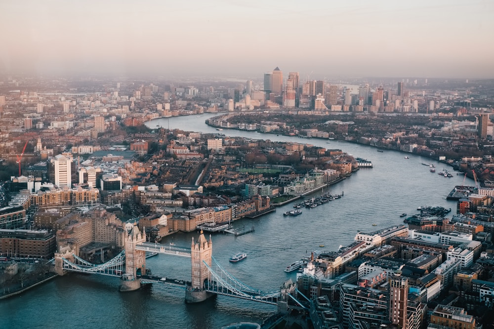 Central London Branch